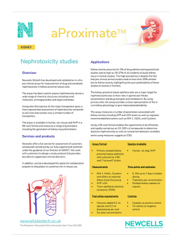 aProximate Nephrotoxicity studies