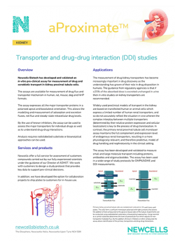 Transporter and drug-drug interaction studies