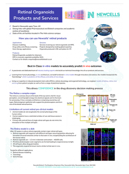 Retinal organoids products and services