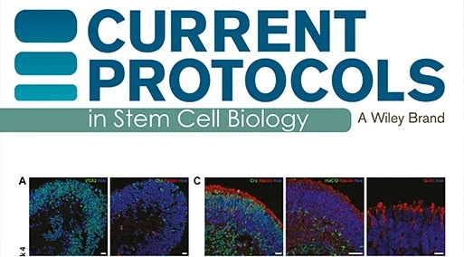 Current Protocols in Stem Cell Biology