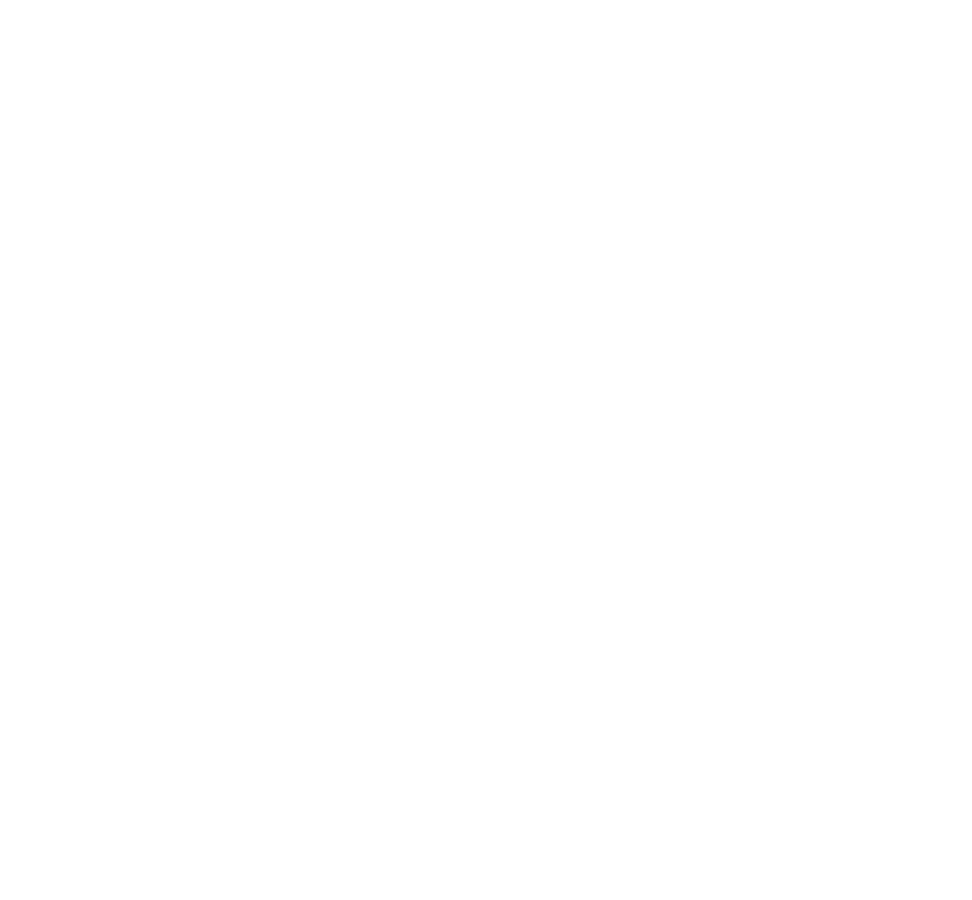 Export champion logo