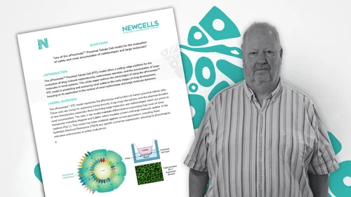 Use of the aProximate Proximal Tubule Cell model for the evaluation  of safety and renal accumulation of radioconjugates and large molecules